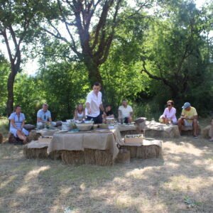 Vineyard to Table Experience