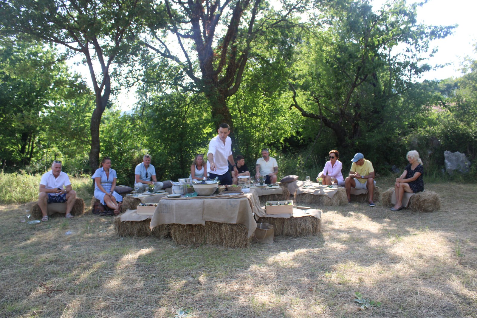 Vineyard to Table Experience near Herceg Novi