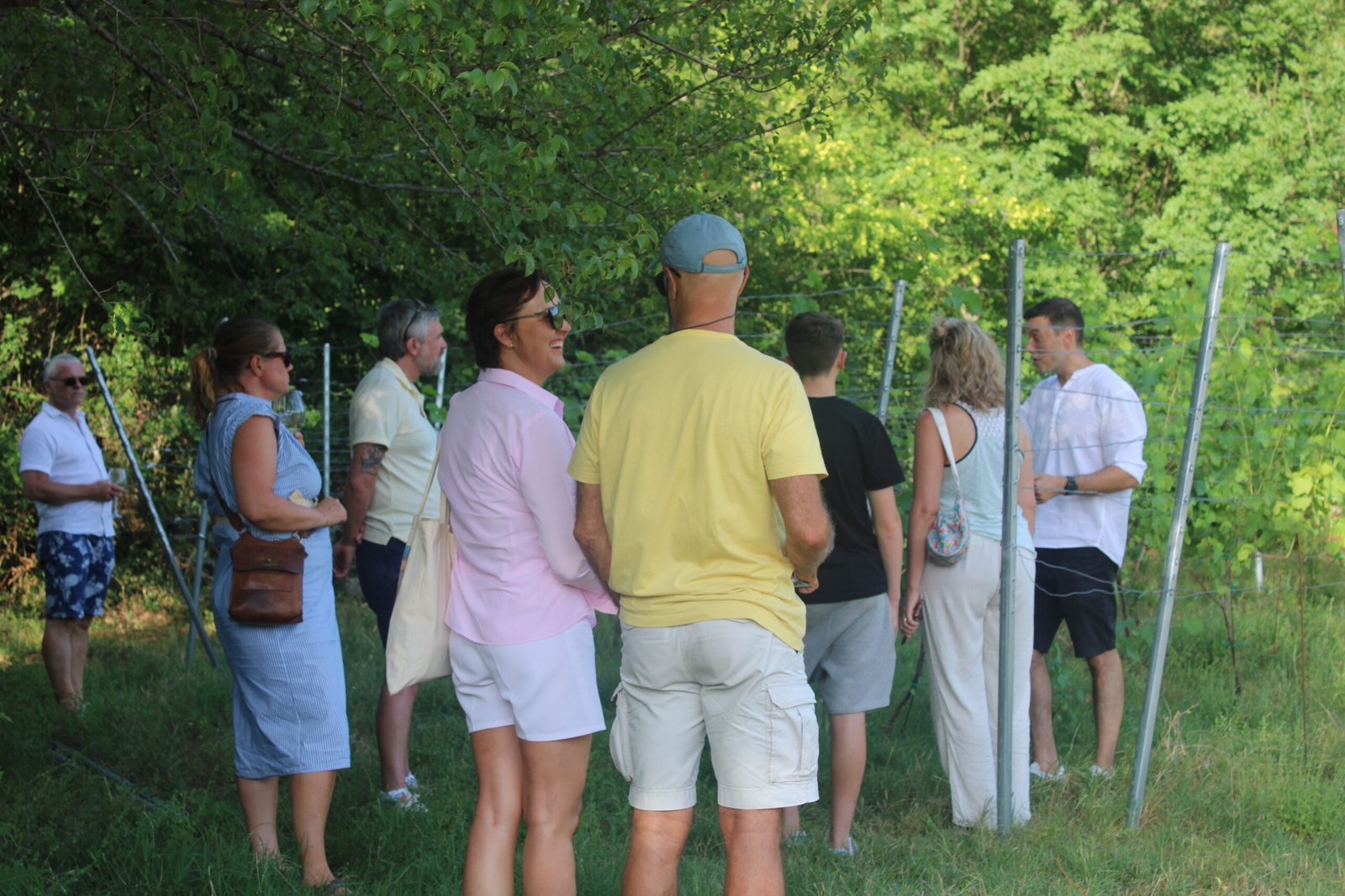 Guests visiting the small family vineyard above Herceg Novi